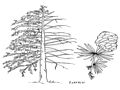 0a_03.jpg (5103 byte)