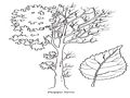 0a_07.jpg (4980 byte)