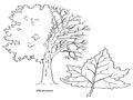 0a_08.jpg (4706 byte)