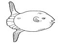 0a_06.jpg (4972 byte)