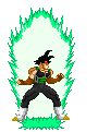 bardock.gif (2458 byte)