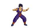 gohan-grande.gif (1802 byte)