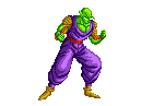 piccolo-sb2.gif (2071 byte)