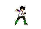 videl.gif (1576 byte)