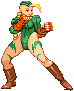 cammy.gif (2116 byte)