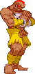 dhalsim.gif (2646 byte)