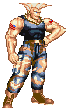 guile.gif (2717 byte)