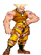 guile2.gif (2635 byte)