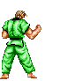 karate02.gif (21662 byte)