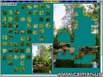 04Jigsaw_CAIMAN18.jpg (6659 byte)