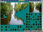 03Jigsaw_CAIMAN20.jpg (6133 byte)