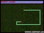 03malatoSnake.jpg (4608 byte)