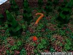 01CaiSnake.jpg (6402 byte)