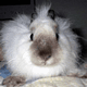 06.gif (5334 byte)