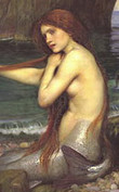 07.jpg (8164 byte)