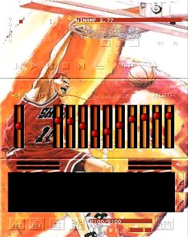 SlamDunk5.jpg (33086 byte)