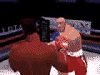 02.gif (4312 byte)