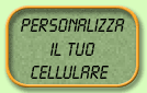 mezzo.gif (8693 byte)
