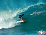 surfphotos.jpg (4732 byte)