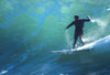 001surf p.jpg (2945 byte)