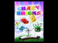 03crazybrick.jpg (11185 byte)