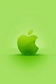 tn_iphonesfondi250x375-02.jpg (4237 byte)