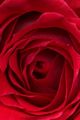 tn_iphonesfondi250x375-03.jpg (3161 byte)