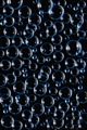 tn_iphonesfondi250x375-06.jpg (3174 byte)