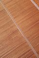 tn_iphonesfondi250x375-04.jpg (4491 byte)