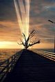 tn_iphonesfondi250x375-07.jpg (3330 byte)