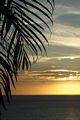 tn_iphonesfondi250x375-04.jpg (4491 byte)