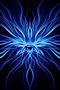 tn_iphonesfondi320x48004.jpg (2125 byte)