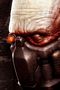 tn_iphonesfondi320x48001.jpg (2640 byte)