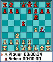 08Chess.jpg (37461 byte)