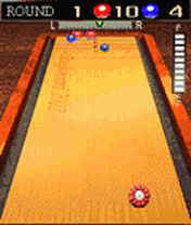 08shuffleboard.jpg (8483 byte)