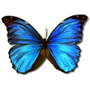 02.jpg (13707 byte)