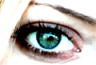 03.gif (3297 byte)