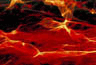 01.gif (2712 byte)
