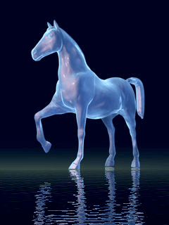cheval2in2.gif (210332 byte)