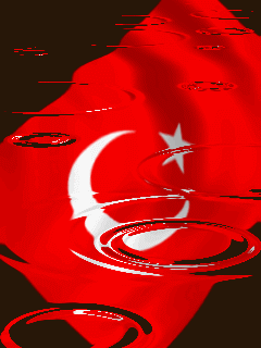 turkeyflag01.gif (175543 byte)