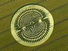 tn_cerchi_grano_03.jpg (3893 byte)