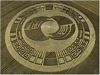 tn_cerchi_grano_05.jpg (2605 byte)