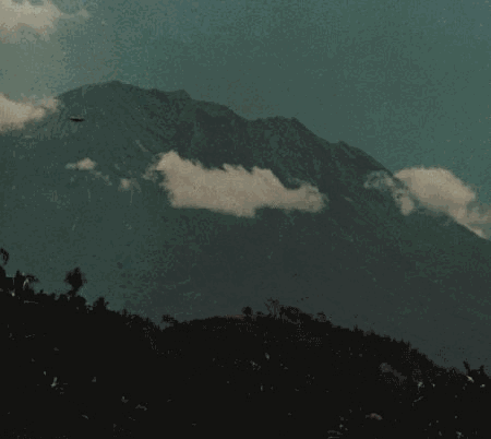2.gif (39663 byte)