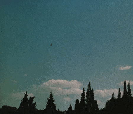 3.gif (72546 byte)