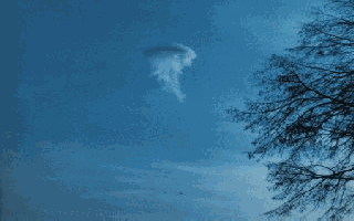 4.gif (26344 byte)