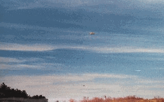 2.gif (39663 byte)