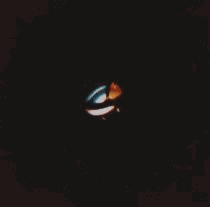 4.gif (26344 byte)