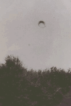 6.gif (54663 byte)