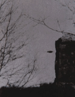 1.gif (22389 byte)