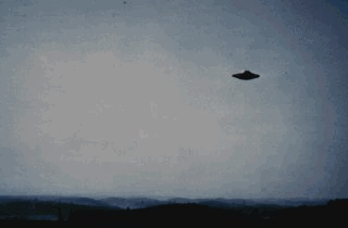 2.gif (39663 byte)